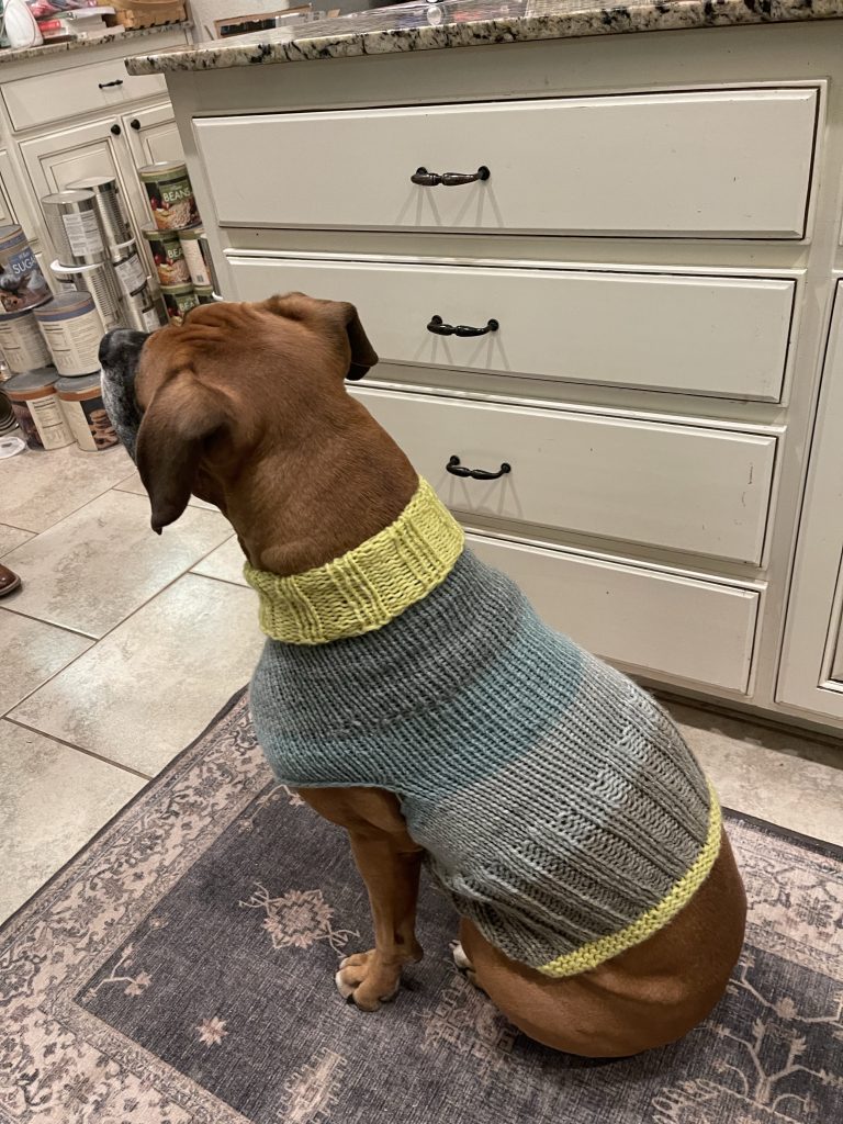 Knit dog turtleneck sweater ​for a boxer!